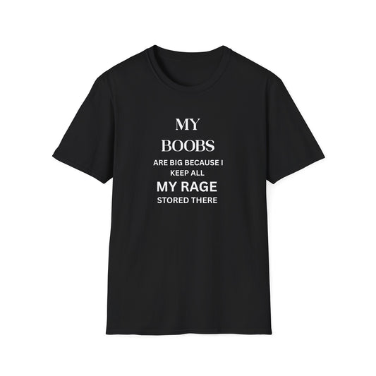 My Boobs Are Big Because........
